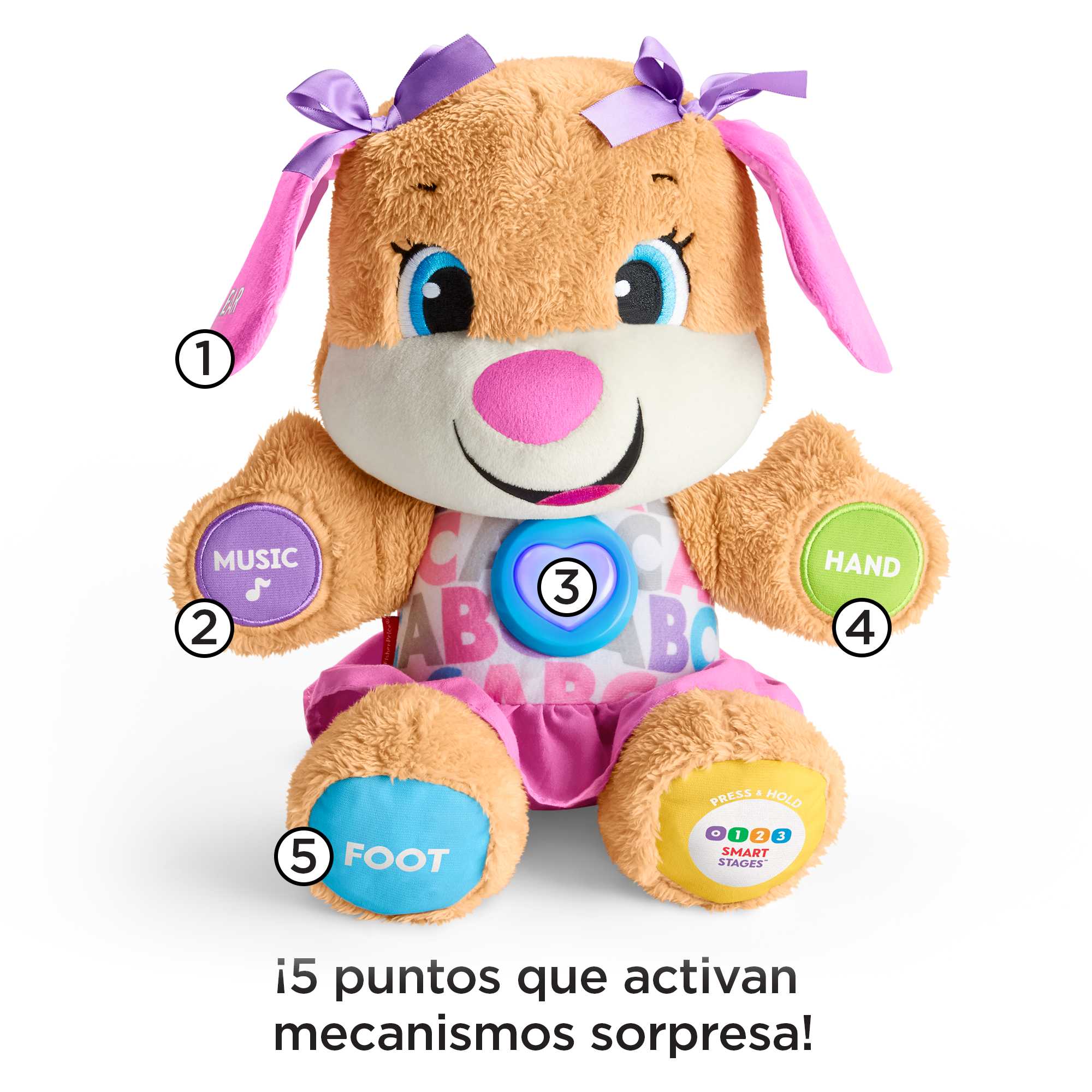 Ríe Y Aprende Perrita Primeros Descubrimientos - Image 3